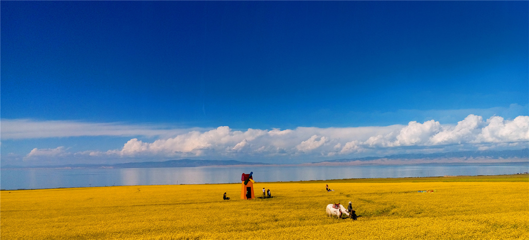 《大美青?！穭㈤?/>
                                    <div   id=